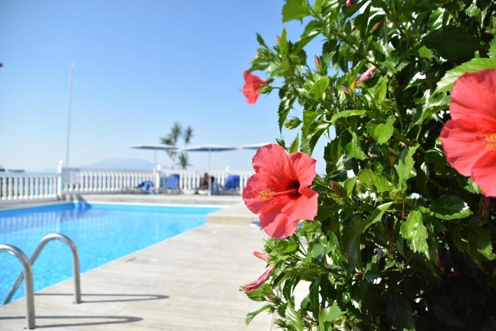 Aparthotel Clear Horizon 2*